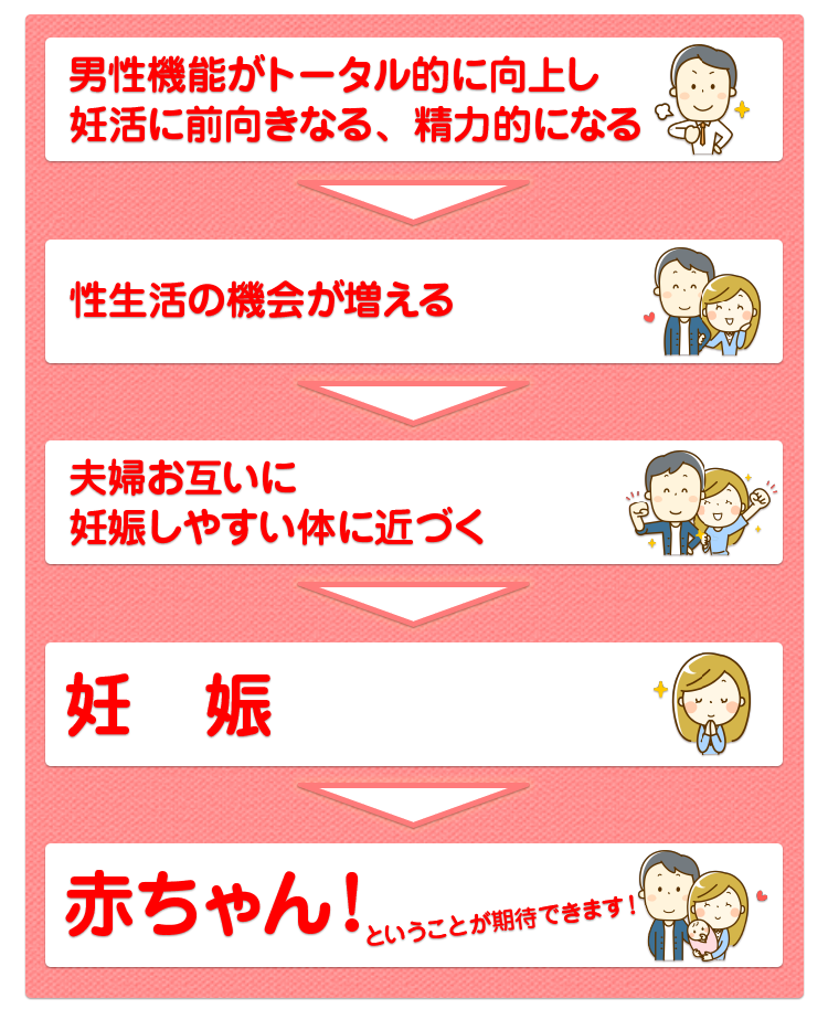 男性機能がトータル的に向上し妊活に前向きになる、精力的になる　性生活の機会が増える　夫婦お互いに妊娠しやすい体に近づく　妊娠　赤ちゃん　ということが期待できます